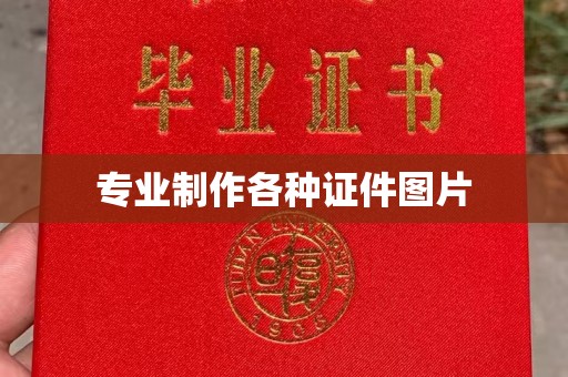 长涂专业制作各种证件图片