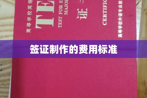 长涂签证制作的费用标准