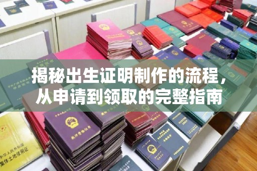 长涂揭秘出生证明制作的流程，从申请到领取的完整指南