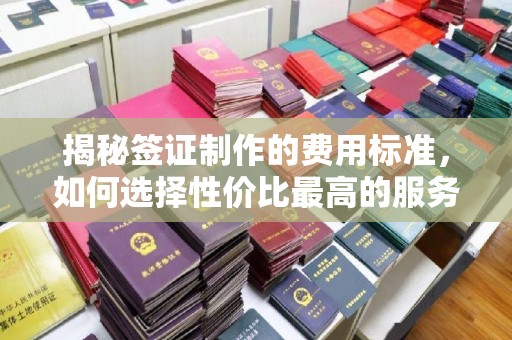 长涂揭秘签证制作的费用标准，如何选择性价比最高的服务？