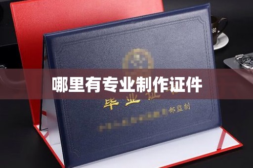 长涂哪里有专业制作证件