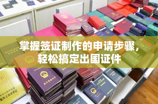 长涂掌握签证制作的申请步骤，轻松搞定出国证件