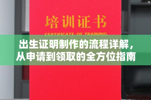 长涂出生证明制作的流程详解，从申请到领取的全方位指南